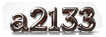a2133 logo